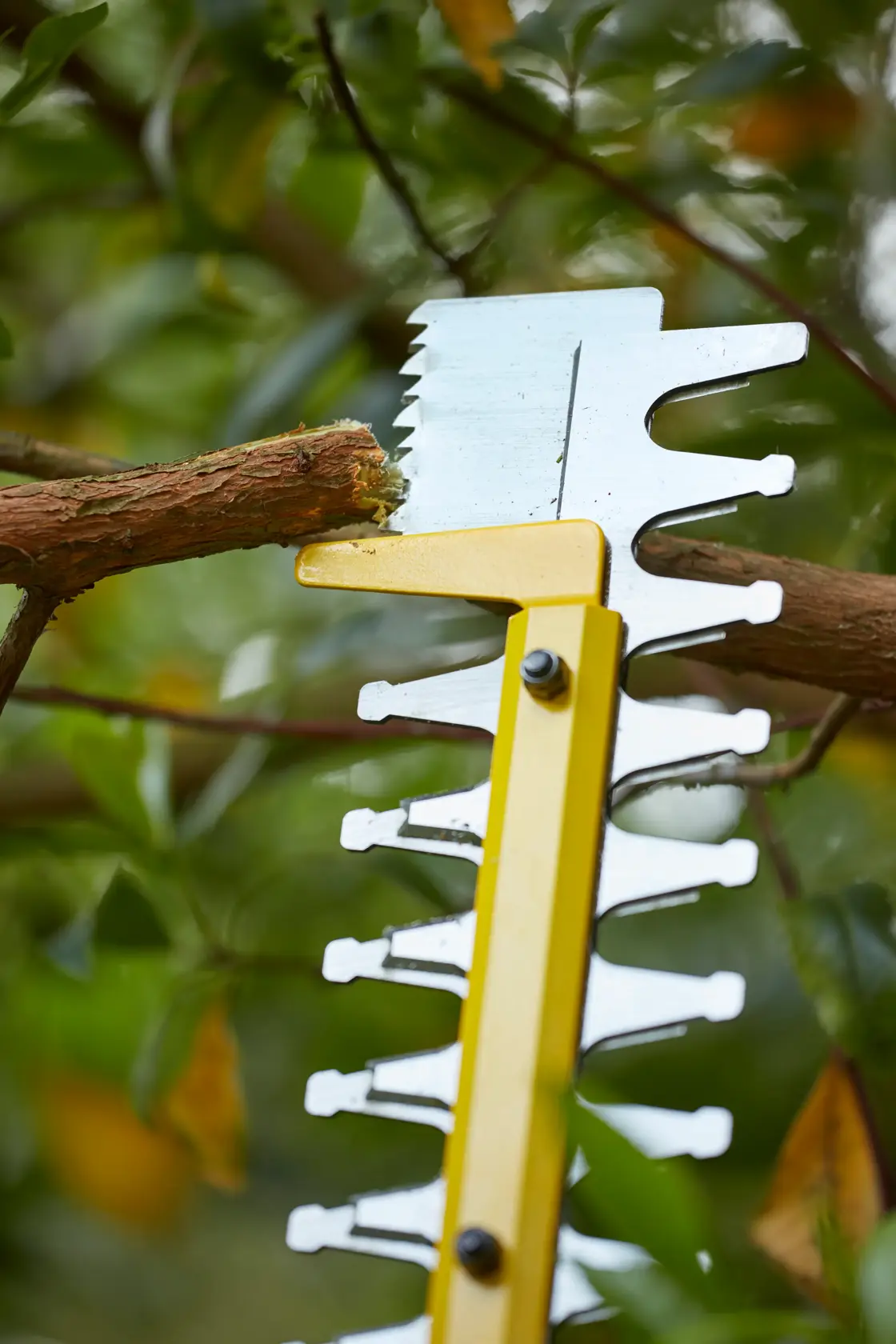 STANLEY SFMCHT855M1 hedge trimmer blade close-up cutting a tree branch outdoors.