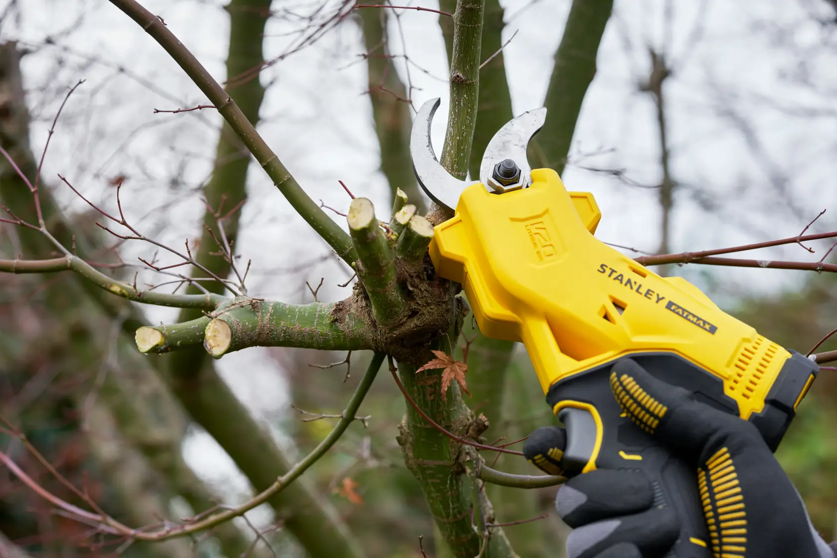 Photo de l'élagueur sans fil STANLEY SFMCPP32M1 en cours d'utilisation, taillant des branches d'arbre en extérieur.