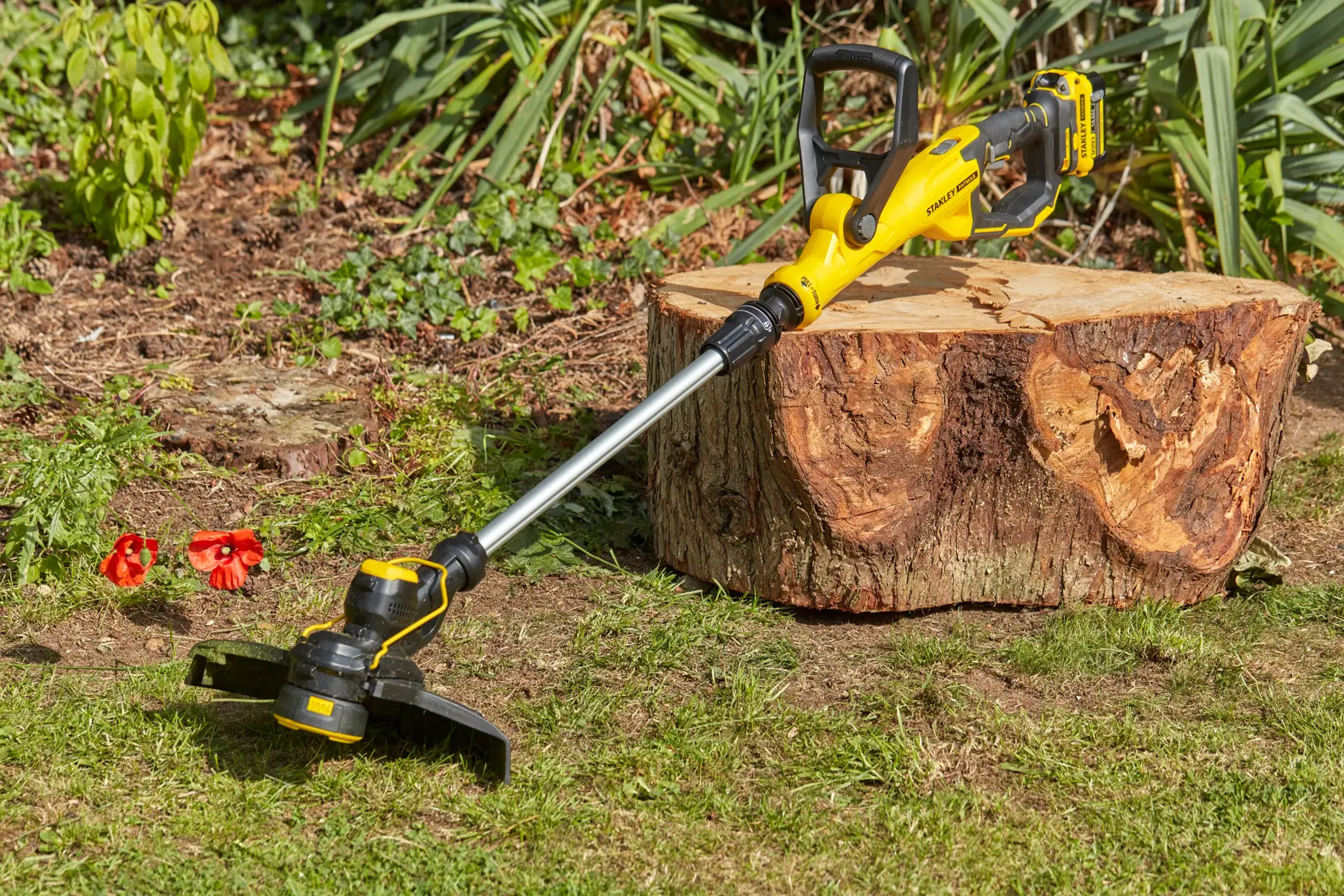 STANLEY SFMCST933B coupe-herbe sans fil jaune et noir posé sur l’herbe près d’une souche en extérieur.