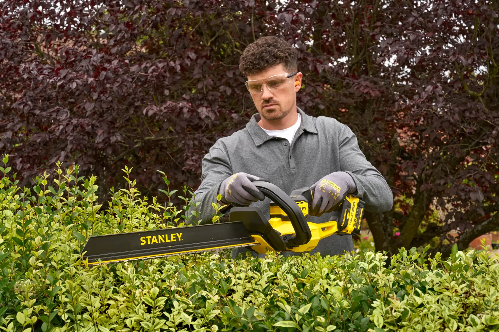 Photo of STANLEY STCHT8255M1 hedge trimmer in use, yellow and black, trimming green hedges outdoors.
