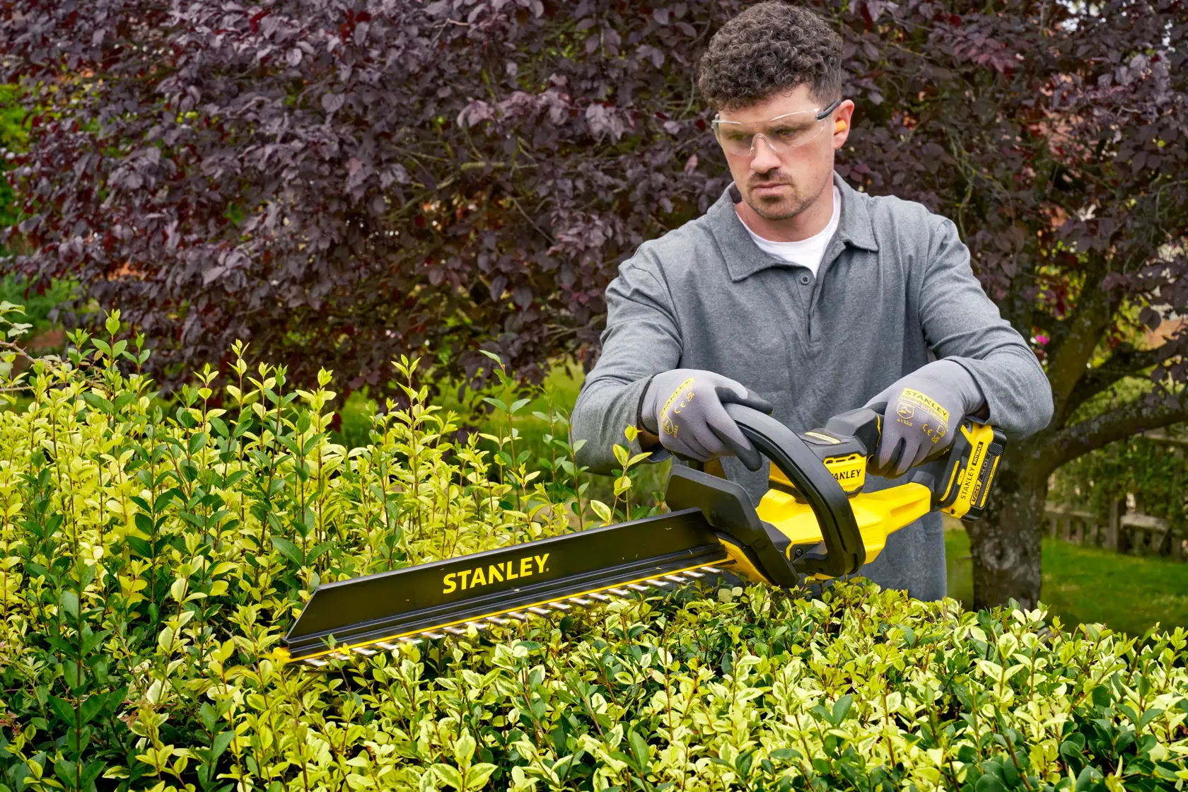 STANLEY STCHT8255M1 hedge trimmer in use outdoors trimming green hedges.