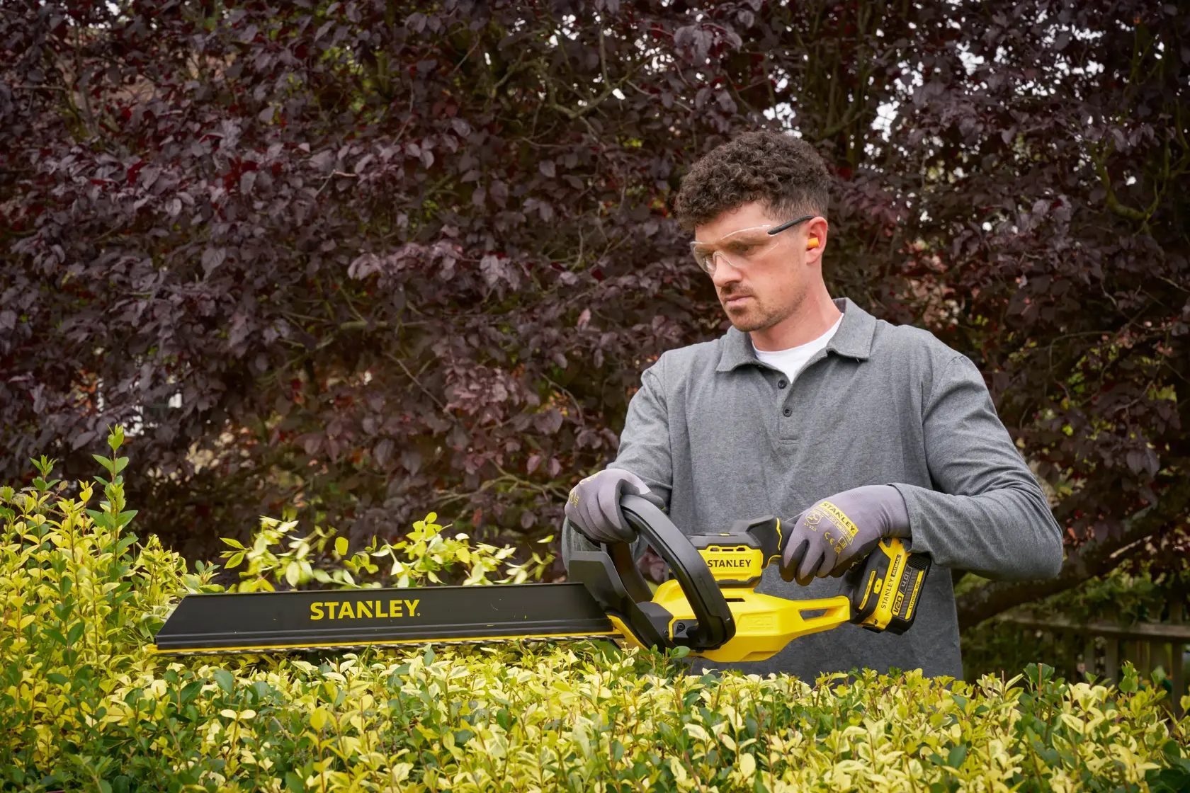Photo of STANLEY STCHT8255M1 cordless hedge trimmer in use, yellow and black design, trimming green bushes outdoors.