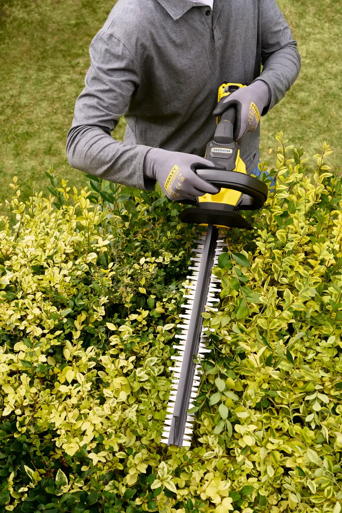 STANLEY STCHT8255M1 hedge trimmer in use, person wearing gloves trimming green bushes outdoors.